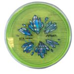 Axiom Hex - Proton Soft OTB, 173