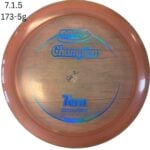 Innova Tern - Champion, 173-175g