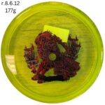 Axiom Pyro - Prism Proton, 177g