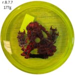 Axiom Pyro - Prism Proton, 177g